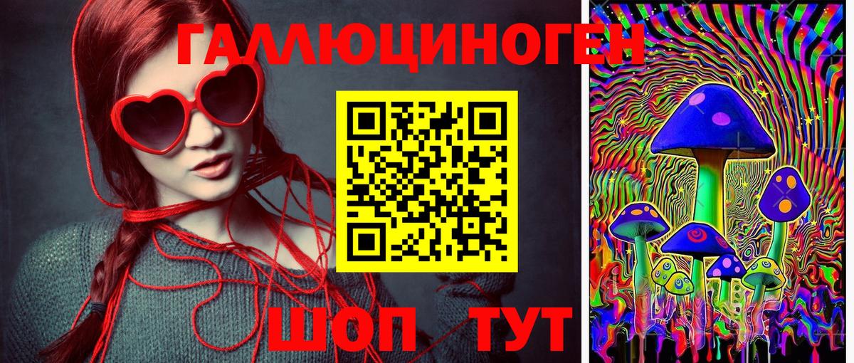 Галлюциногенные грибы мухоморы Владимир