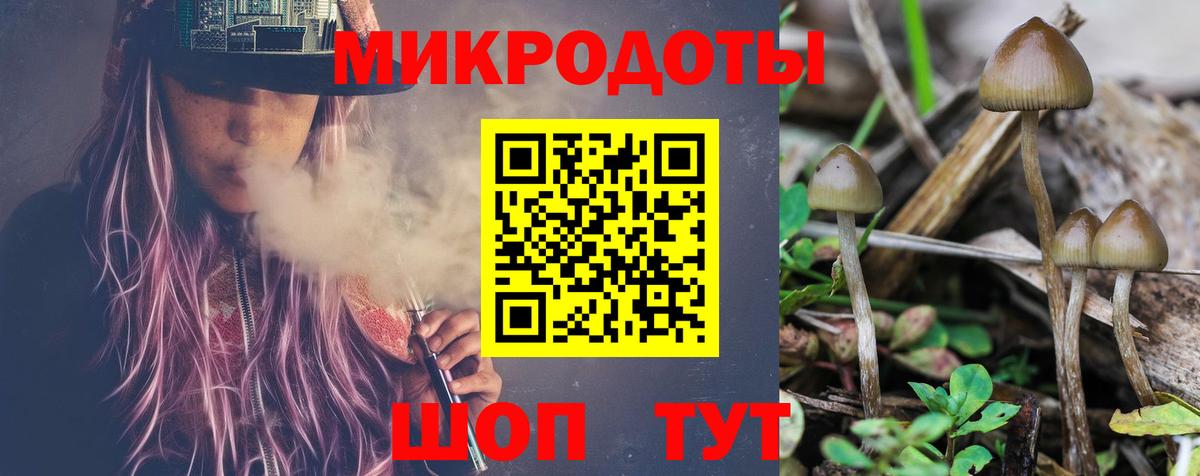 Галлюциногенные грибы MAGIC MUSHROOMS  Вход с VPN  Владимир 