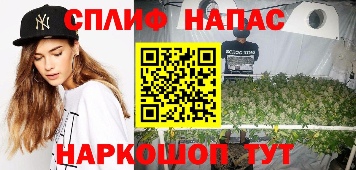 Бошки Шишки планчик  Бошки Шишки THC 21%  Владимир  Вход с VPN  Марихуана ГИДРОПОН 